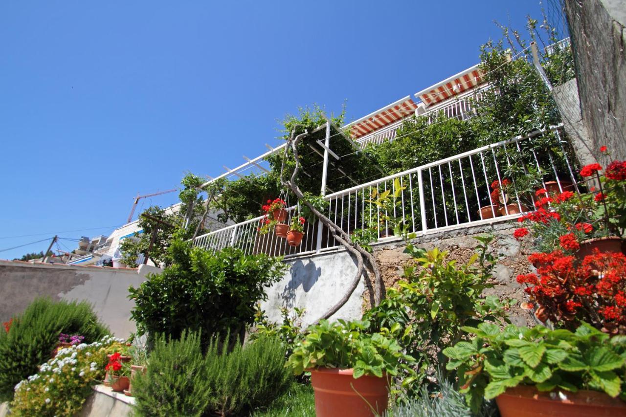 Apartments Ante Dubrovnik Exteriör bild